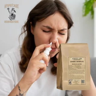 Kesik yapraklı sarmaşık (Hedera helix) - Apophycaire