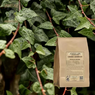 tisane Lierre grimpant - Apophycaire