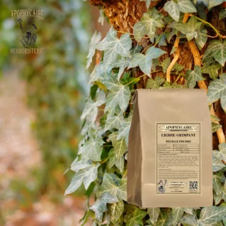 Climbing ivy powder – Hedera helix | Apophycaire