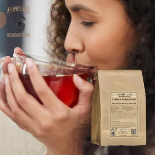 Lierre terrestre utilisé pour dégager les voies respiratoires, soulager les troubles digestifs - Apophycaire