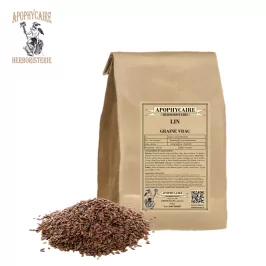 Common flax – Linum usitatissimum | Apophycaire