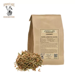 Liseron partie aérienne coupée (Convolvulus sepium) - Apophycaire