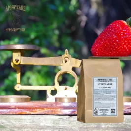 Lithothamnium (Maerl) powder (Lithothamnium calcareum) - Apophycaire