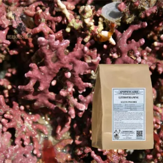 Lithothamnium powder – Lithothamnium calcareum | Apophycaire