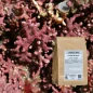 Lithothamnium (Maerl) powder (Lithothamnium calcareum) - Apophycaire