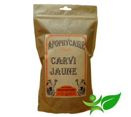 CARVI JAUNE, Fruit (Carum carvi) - Apophycaire