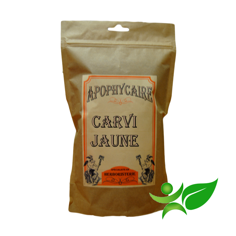 CARVI JAUNE, Fruit (Carum carvi) - Apophycaire