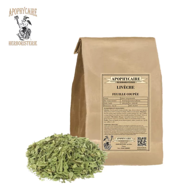Livèche feuille coupée (Levisticum officinale) - Apophycaire