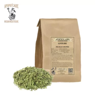 Liebstöckelblatt – Levisticum officinale | Apophycarius