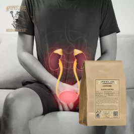 Sevgi kökü kesimi (Levisticum officinale) - Apophycaire