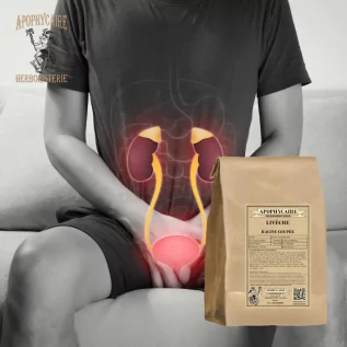 Livèche racine stimuler les fonctions digestives et urinaires, avec une action tonique - Apophycaire