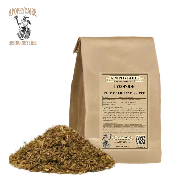 Cortar musgo (Lycopodium clavatum) - Apophycaire