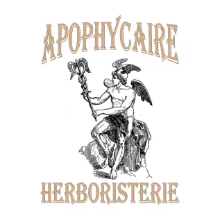 Polvo de semillas de castaño de Indias – Aesculus hippocastanum | Apophycarius