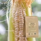Maismehl (Zea mays) - Apophycaire