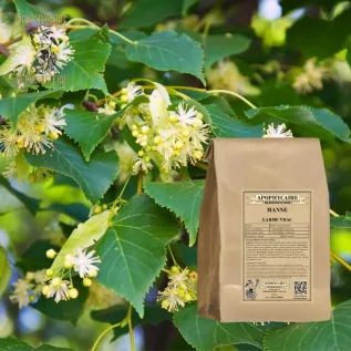 Maná que llora – Fraxinus ornus | Apophycarius