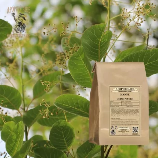 Toz Manna – Fraxinus ornus | Apophycarius