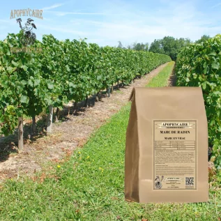 Geschnittener Traubentrester – Vitis vinifera | Apophycarius