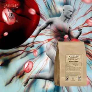 Marc de raisin riche en polyphénols  naturels- Apophycaire