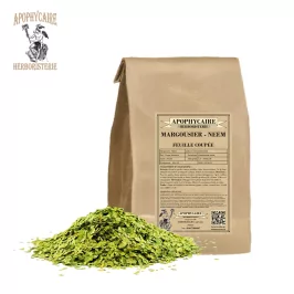 Neem yaprağı kesimi – Azadirachta indica | Apophycarius