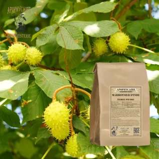 Horse Chestnut Bark Powder – Aesculus hippocastanum | Apophycaire