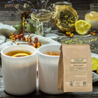 Marronnier d'Inde feuille utilisée pour ses propriétés drainantes douces, apaisantes et adjuvantes - Apophycaire