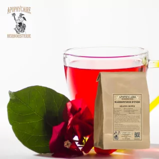 Marron d'Inde graine utilisée sous supervision pour le confort circulatoire - Apophycaire