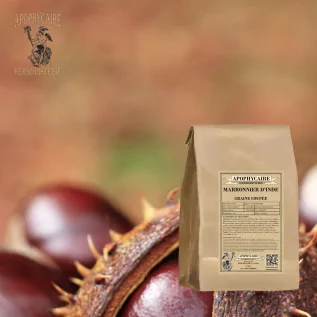 Semilla cortada de castaño de Indias – Aesculus hippocastanum | Apophycarius