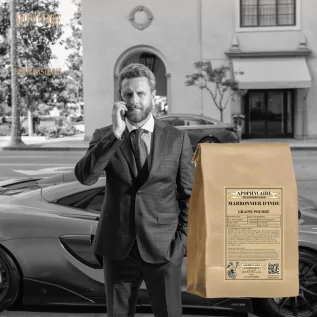 Horse chestnut seed powder (Aesculus hippocastanum) - Apophycaire