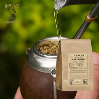 infusion Maté torréfiée coupée (Ilex paraguariensis) - Apophycaire