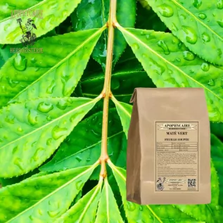 Grüner Mate, geschnittenes Blatt – Ilex paraguariensis | Apophycarius