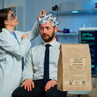 Green leaf mate powder (Ilex paraguariensis) - Apophycaire