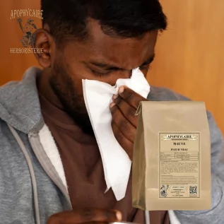 Mauve fleur vrac (Malva sylvestris) - Apophycaire