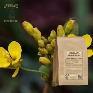 Sarı tatlı yonca toprak üstü kısmı tozu – Melilotus officinalis | Apophycarius