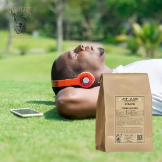 Hojas cortadas de melisa (Melissa officinalis) - Boticario