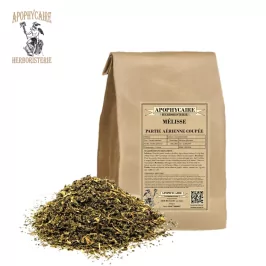 Limon otu toprak üstü kısmı kesimi – Melissa officinalis | Apophycarius