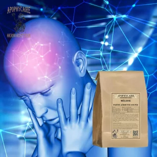 Limon otu kesilmiş bitki (Melissa officinalis) - Eczacı