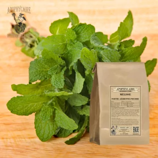 Zitronenmelissen-Oberteilpulver – Melissa officinalis | Apophycarius