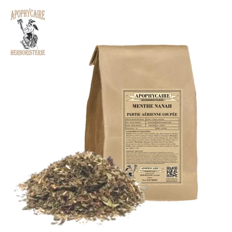 Nanah Mint (sweet) cut plant (Mentha spicata var. viridis) - Apophycaire