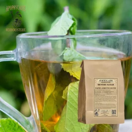 Nanah Mint (süß) Schnittpflanze (Mentha spicata var. viridis) – Apophycaire