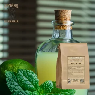 Lose Pfefferminzblätter – Mentha piperita | Apophycarius