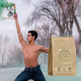 Peppermint cut plant (Mentha piperita) - Apophycaire