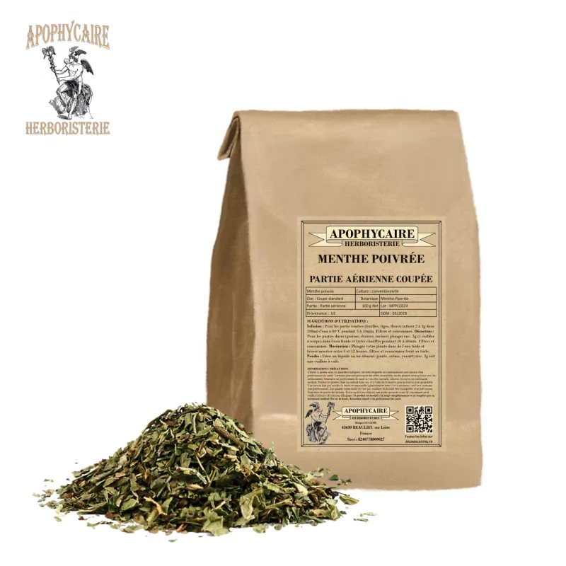 Peppermint cut plant (Mentha piperita) - Apophycaire