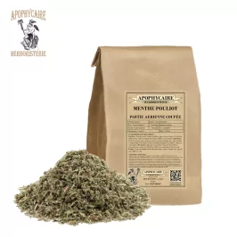 Pennyroyal kesme tesisi – Mentha pulegium | Apophycarius