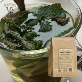 Pennyroyal-Minzpulverpflanze (Mentha pulegium) – Apotheker