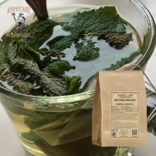 Pennyroyal Nane Tozu Tesisi (Mentha pulegium) - Eczacı