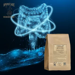 Ményanthe utilisée pour ses propriétés amères, digestives et drainantes - Apophycaire