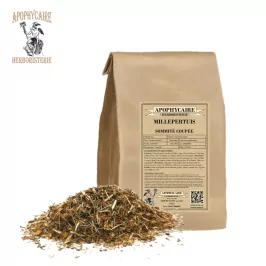 Sarı kantaronun kesilmiş çiçekli uçları – Hypericum perforatum | Apophycarius