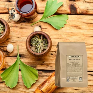 Millepertuis sommité utilisée pour ses effets équilibrants sur le système nerveux - Apophycaire