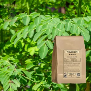 Moringa geschnittene Blätter – Moringa oleifera | Apophycarius