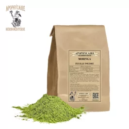 Moringa leaf powder – Moringa oleifera | Apophycaire